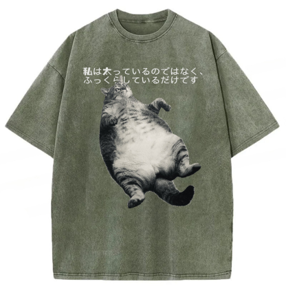 Tokyoviva I'm Not Fat I'm Fluffy Washed T-shirt