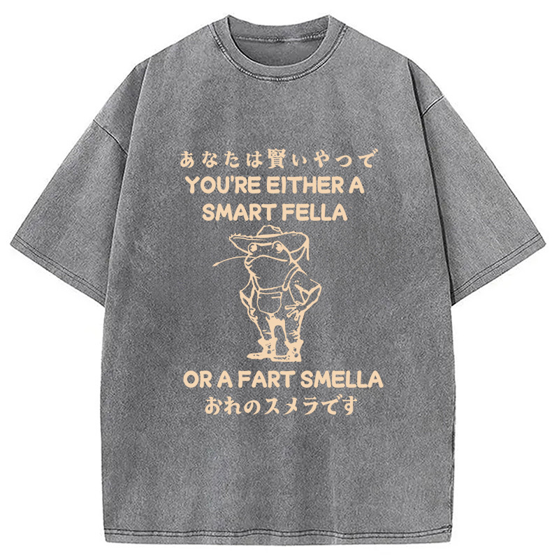 Are You A Smart Fella Or Fart Smella Washed T-Shirt