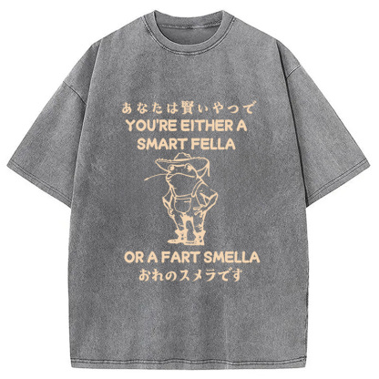 Are You A Smart Fella Or Fart Smella Washed T-Shirt