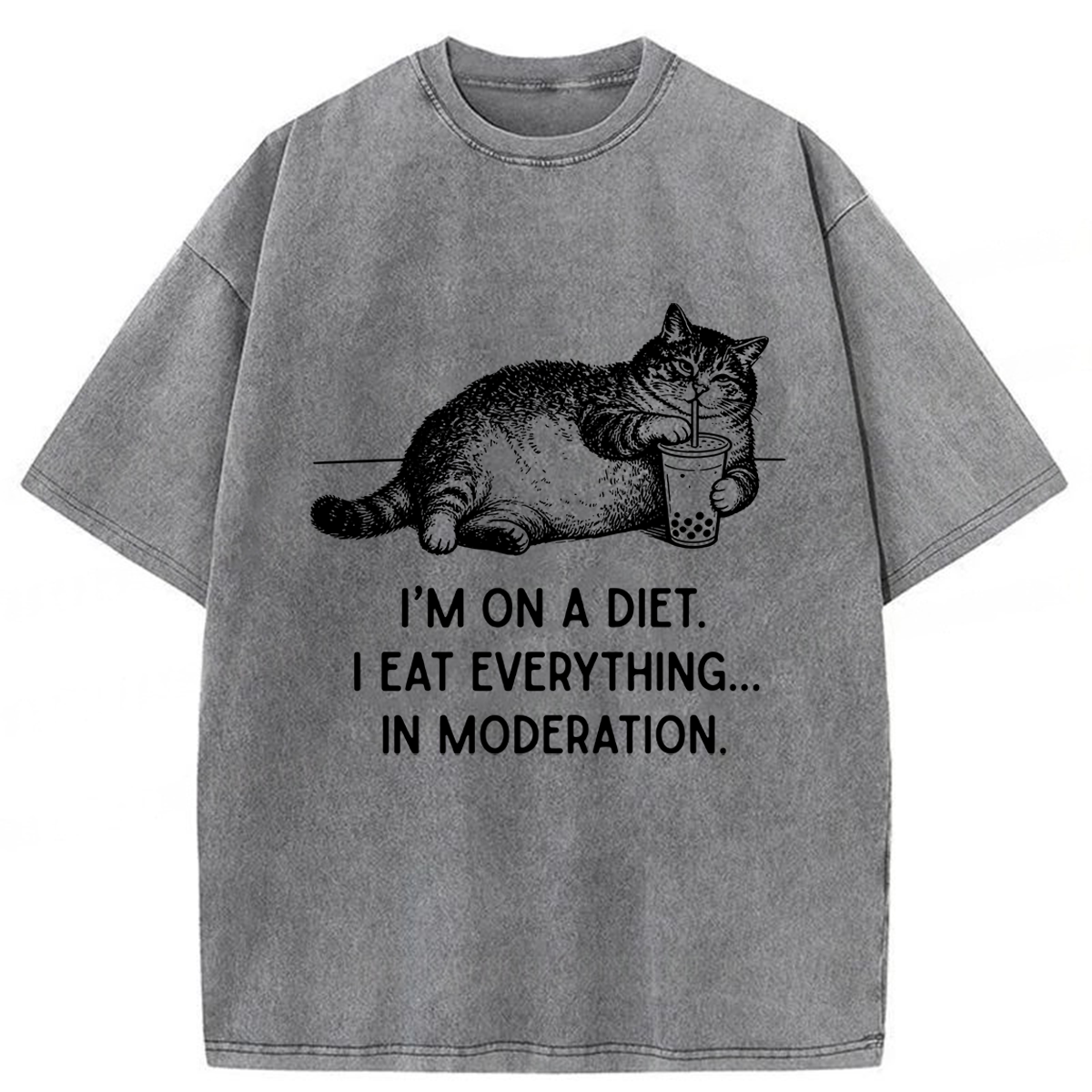 Tokyoviva Cat Weight Loss Funny Washed T-shirt