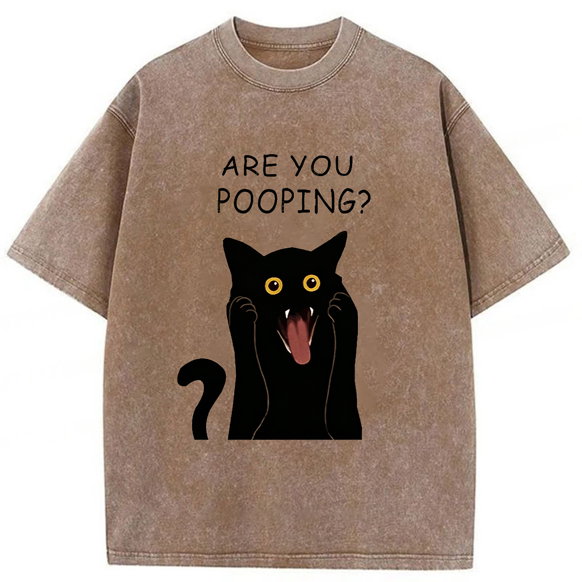 Tokyoviva Are You Pooping Washed T-Shirt