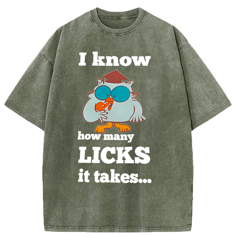 Tokyoviva I Know How Many Licks It Takes Washed T-Shirt