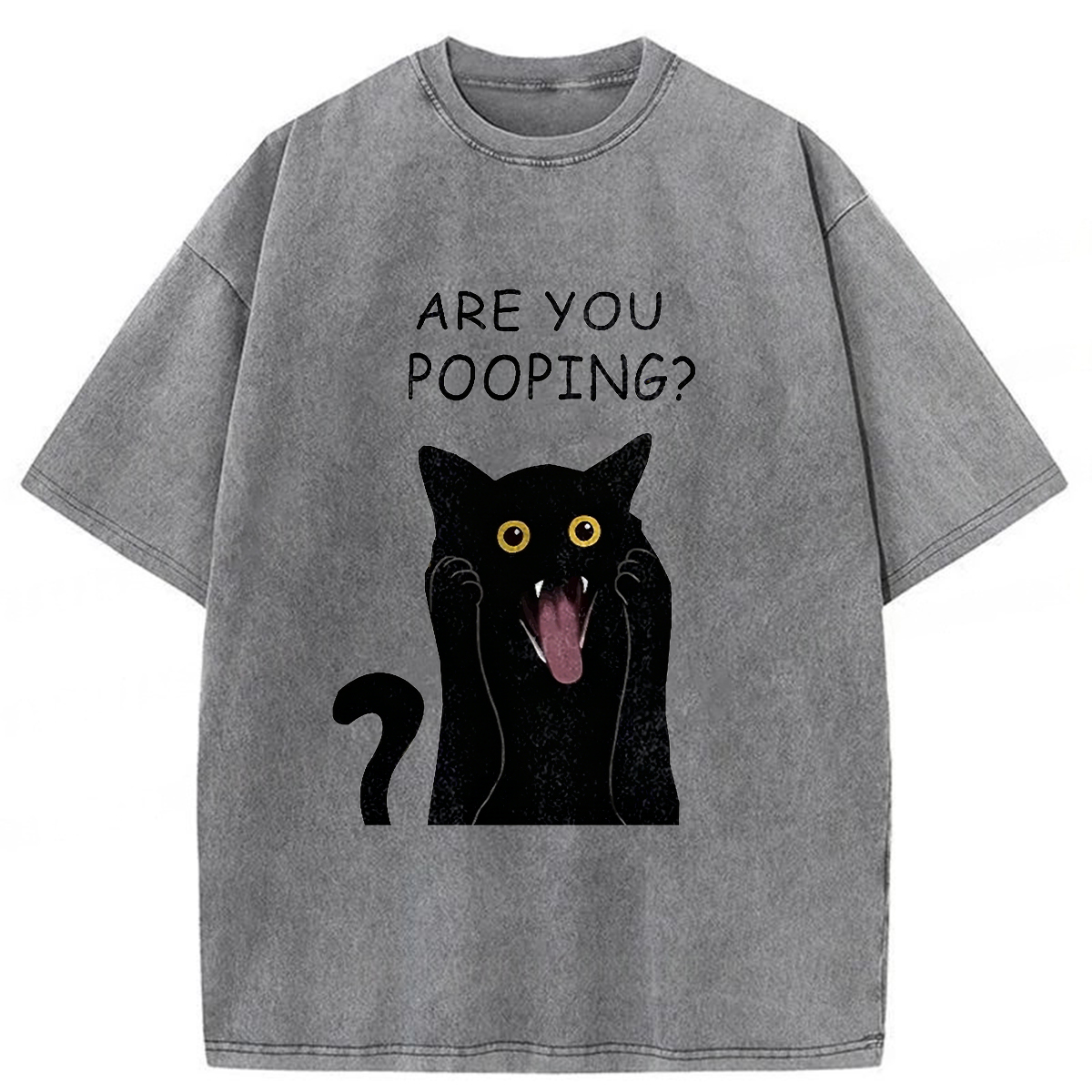 Tokyoviva Are You Pooping Washed T-Shirt