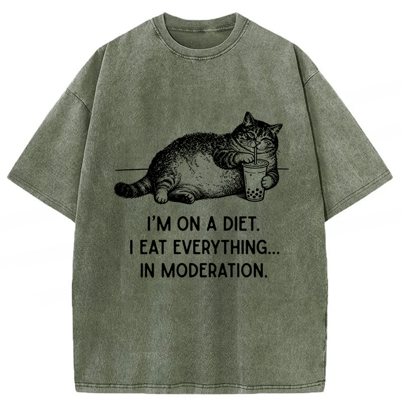 Tokyoviva Cat Weight Loss Funny Washed T-shirt
