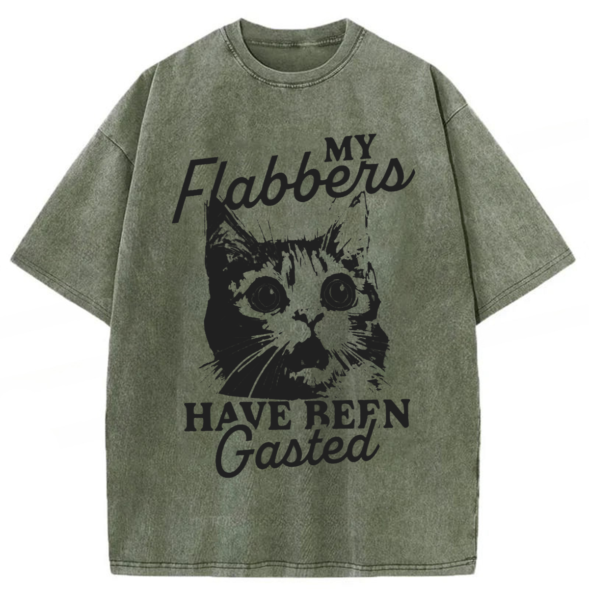 Tokyoviva My Flabbers Have Been Gasted Humor Washed T-shirt