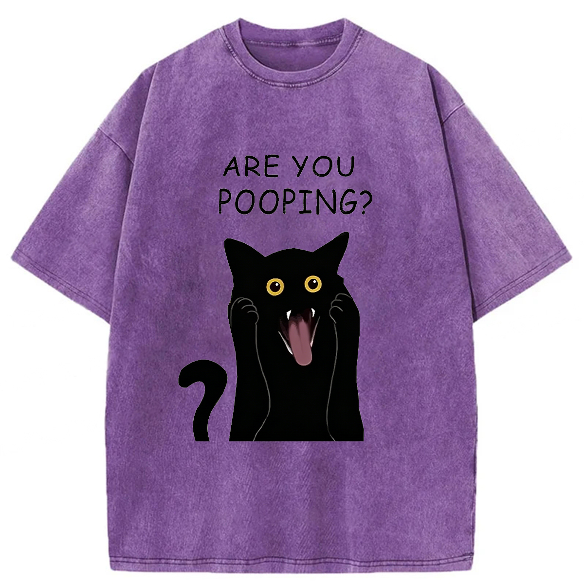 Tokyoviva Are You Pooping Washed T-Shirt