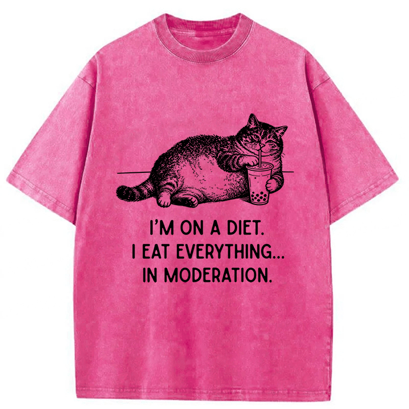 Tokyoviva Cat Weight Loss Funny Washed T-shirt