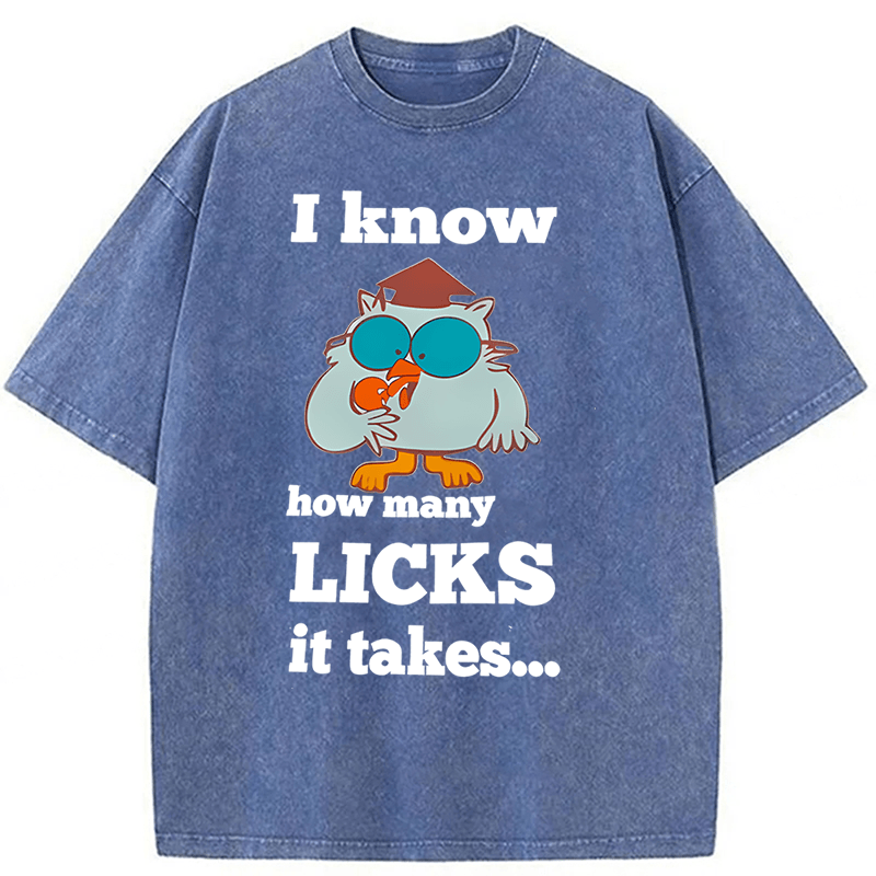 Tokyoviva I Know How Many Licks It Takes Washed T-Shirt