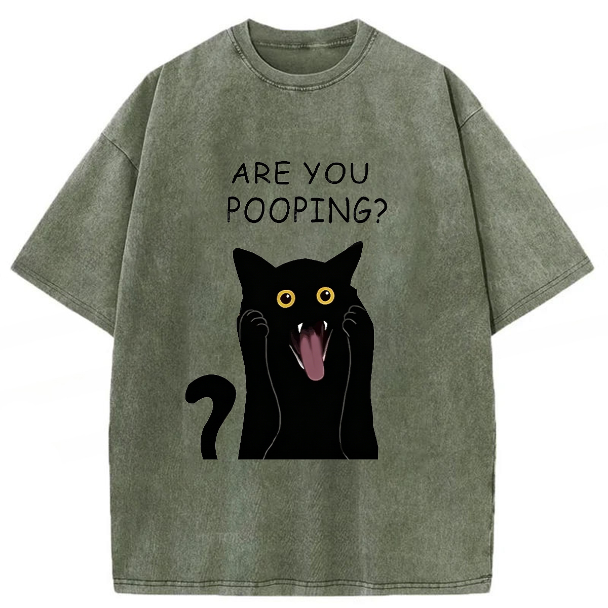Tokyoviva Are You Pooping Washed T-Shirt