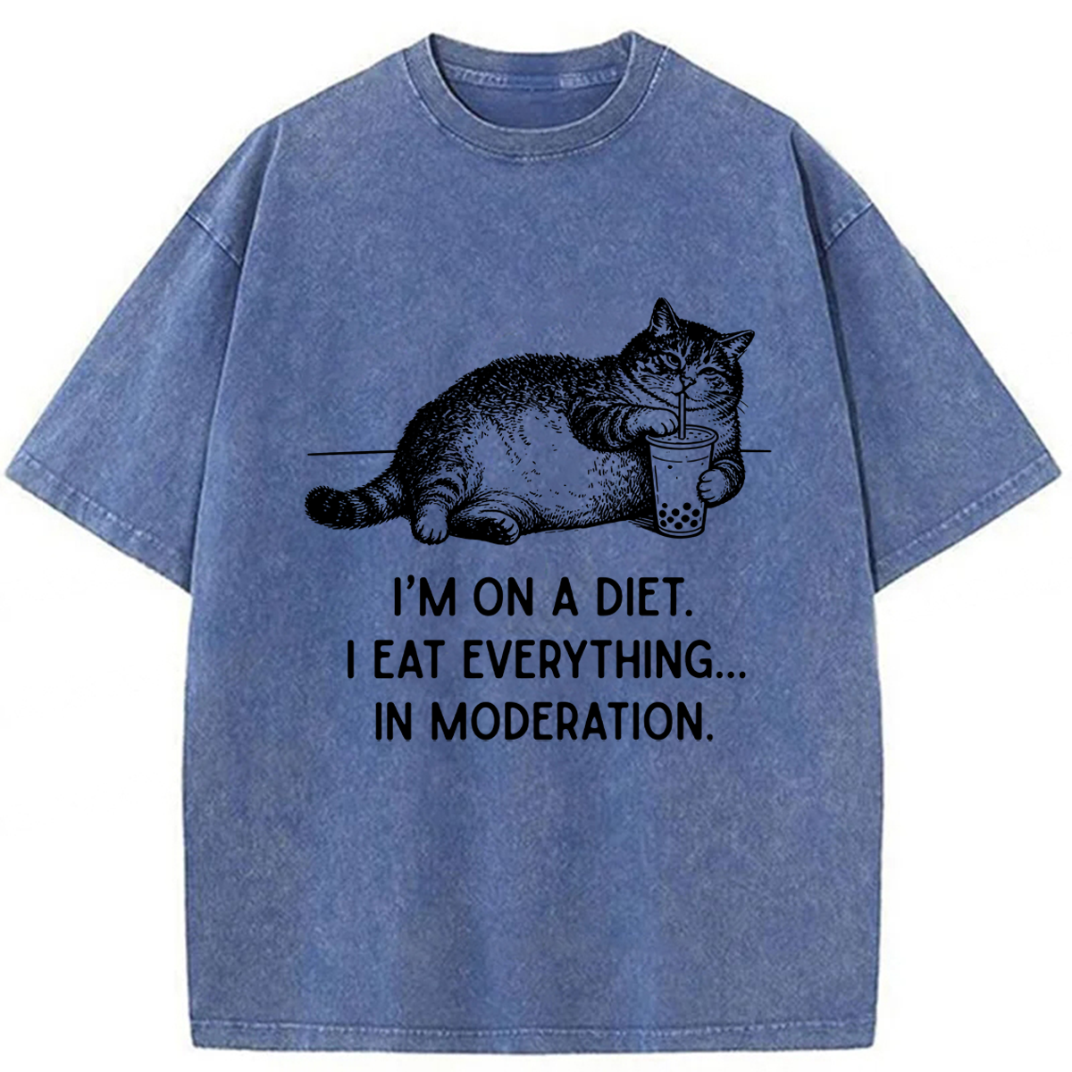 Tokyoviva Cat Weight Loss Funny Washed T-shirt