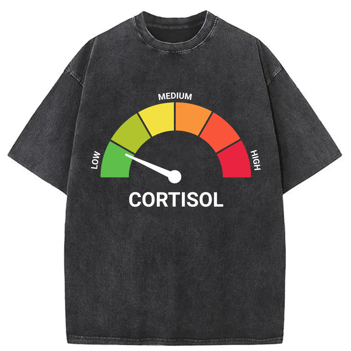 Tokyoviva No Cortisol Spikes Here Washed T-shirt