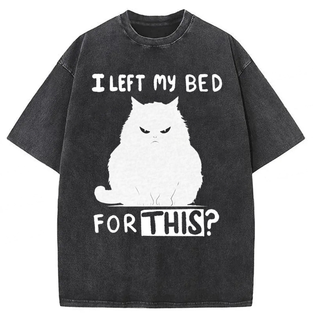 Tokyoviva I Left My Bed For This Washed T-shirt