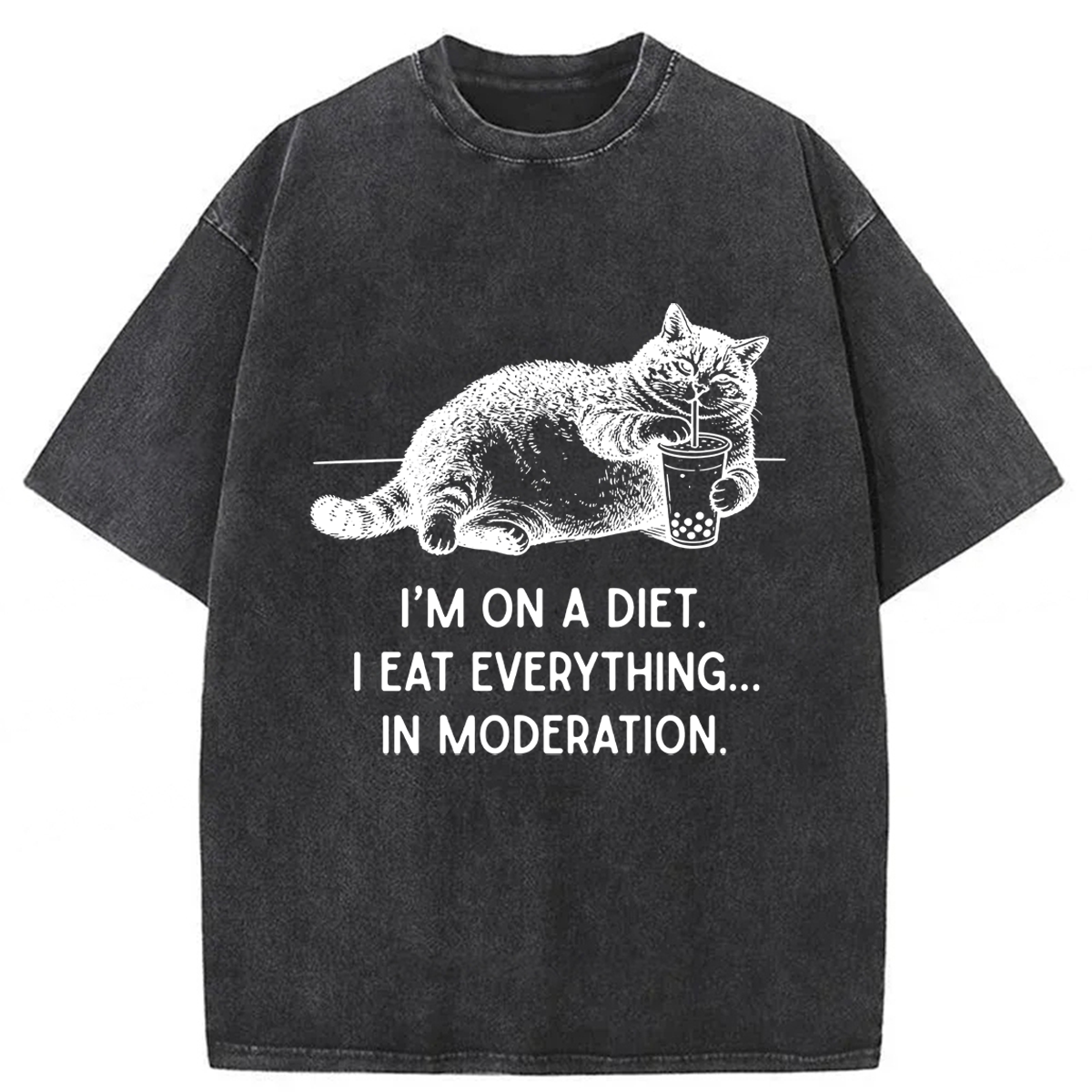 Tokyoviva Cat Weight Loss Funny Washed T-shirt