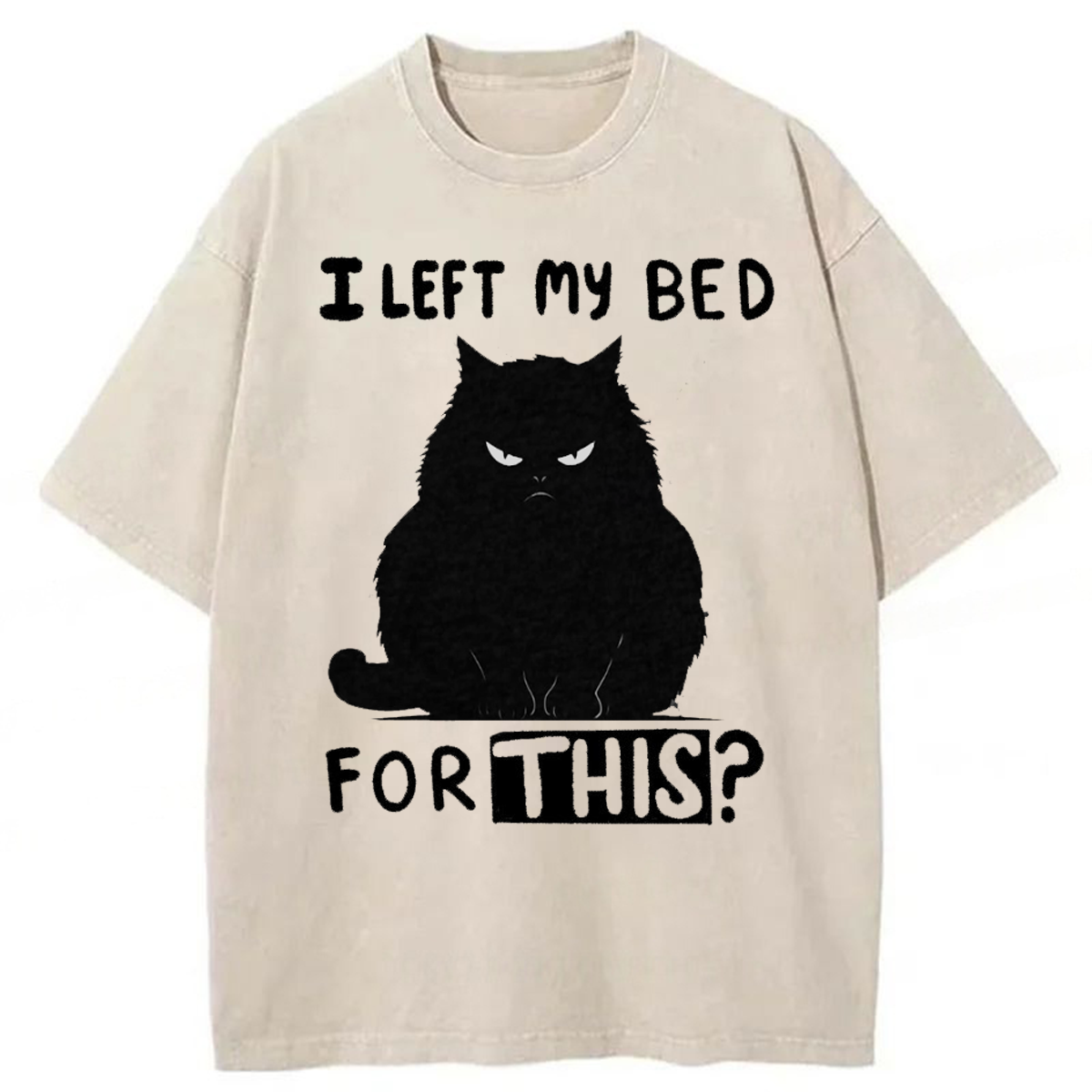 Tokyoviva I Left My Bed For This Washed T-shirt