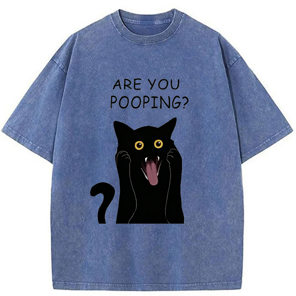 Tokyoviva Are You Pooping Washed T-Shirt