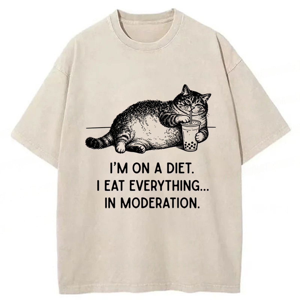 Tokyoviva Cat Weight Loss Funny Washed T-shirt