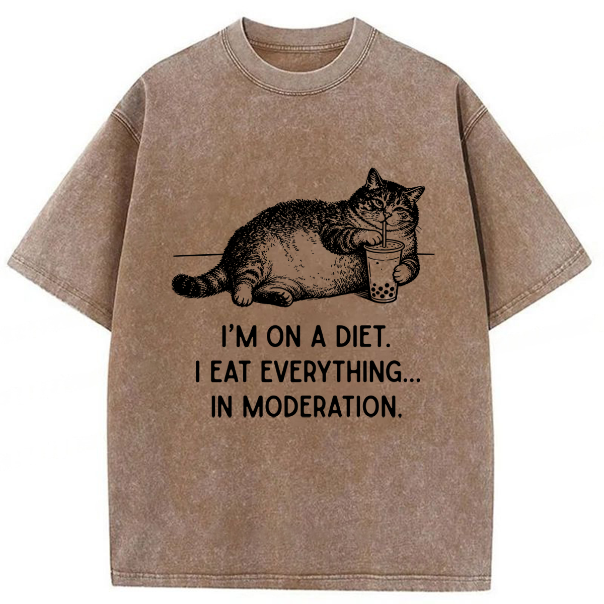 Tokyoviva Cat Weight Loss Funny Washed T-shirt