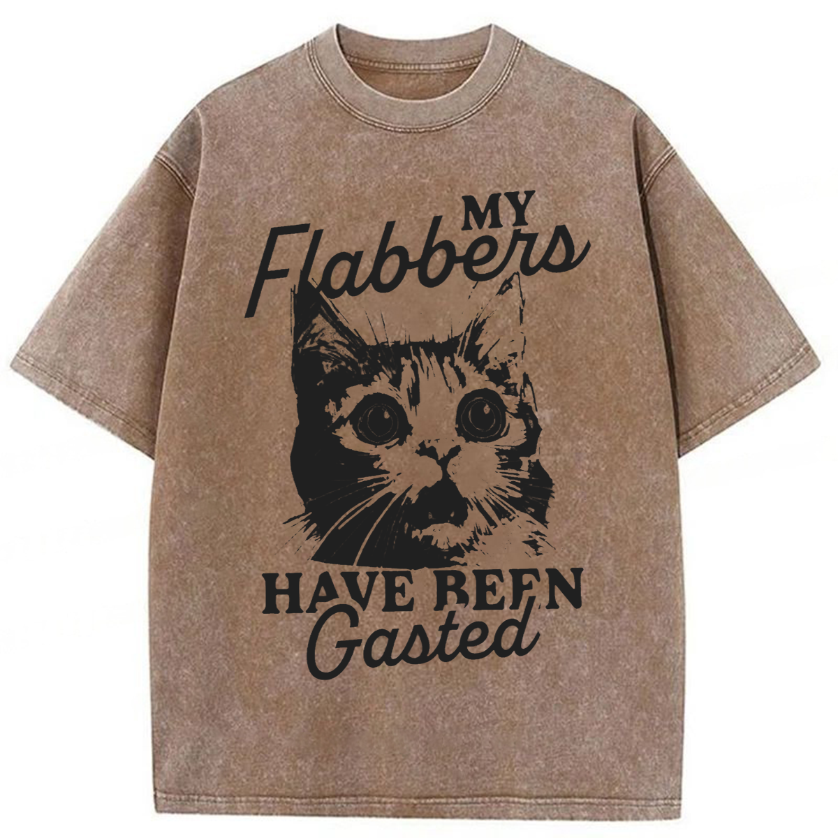Tokyoviva My Flabbers Have Been Gasted Humor Washed T-shirt