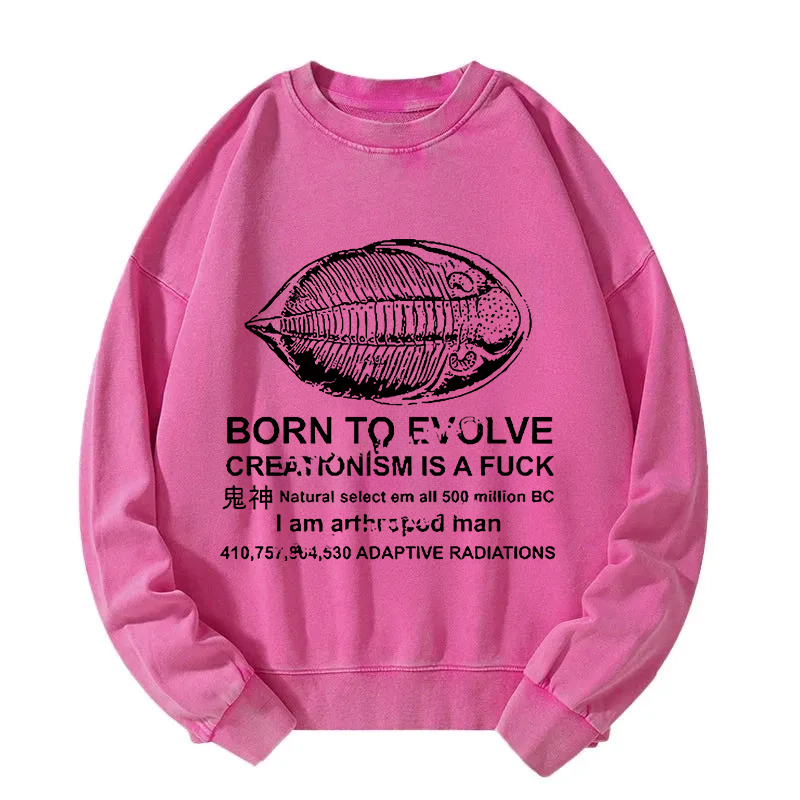 Born To Evolve Washed Sweatshirt