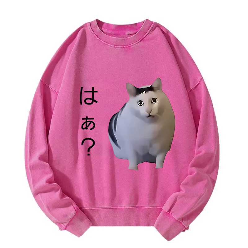 Suspicious Funny Cat Washed Sweatshirt