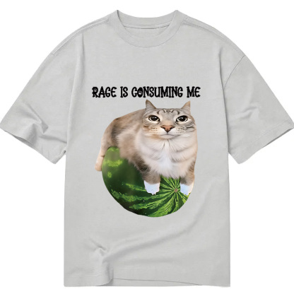 Rage Is Consuming Me Cat Meme Classic T-Shirt