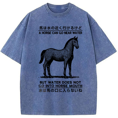 Funny Horse And Water Saying Washed T-Shirt