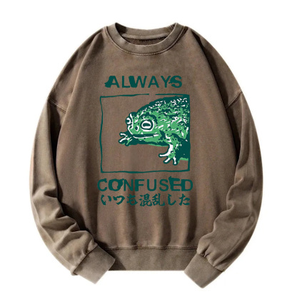 Always Confused Frog Washed Sweatshirt