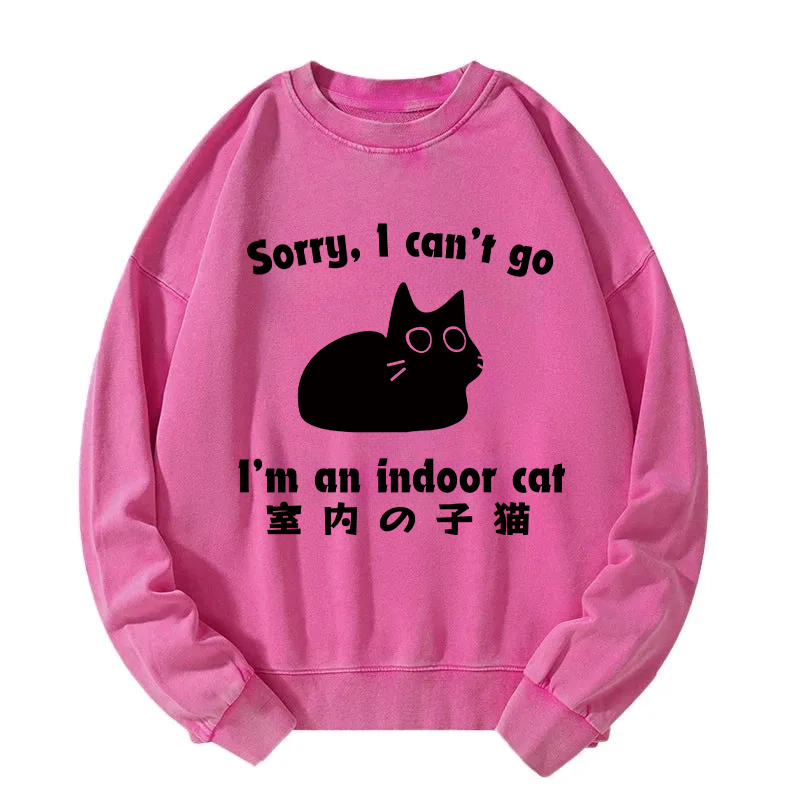 Indoor Kitten Washed Sweatshirt