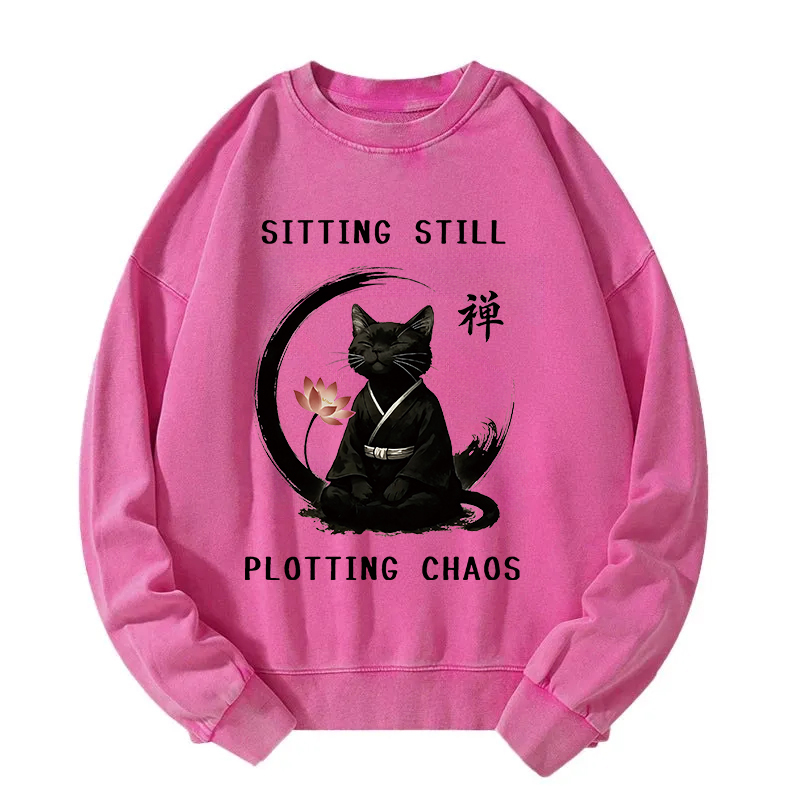 Sitting Calming Zen Cat Washed Sweatshirt