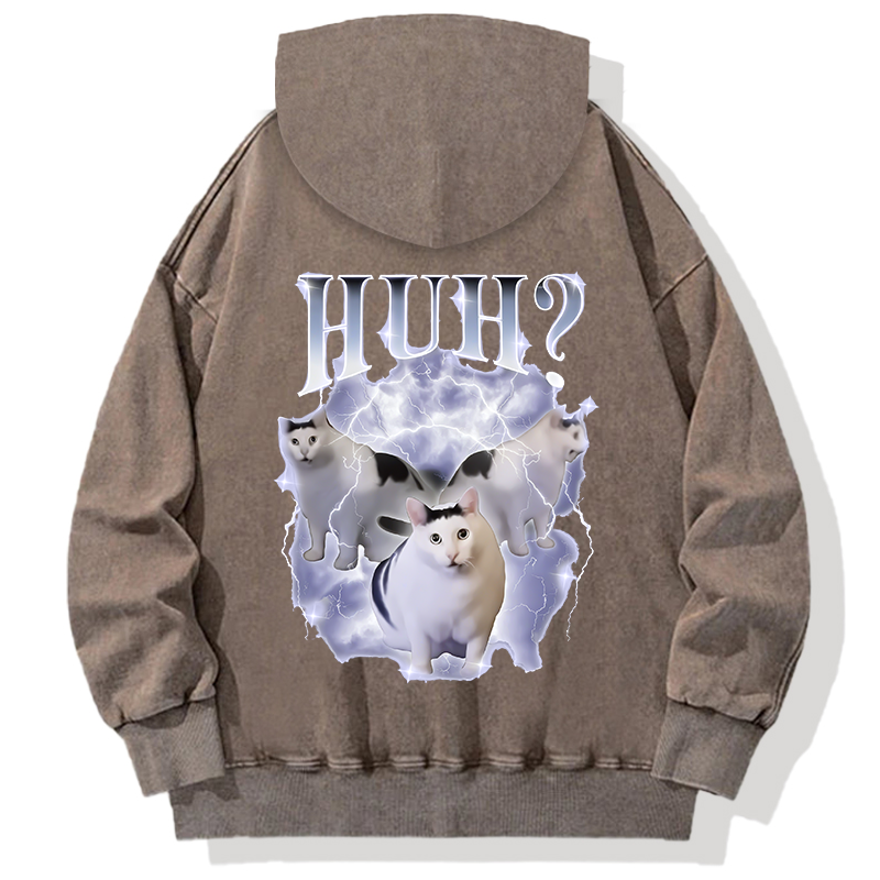 Huh Cat Chonky Ben Meme Back Washed Hoodie