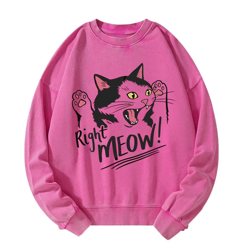 Right Meow Funny Cat Meme Washed Sweatshirt