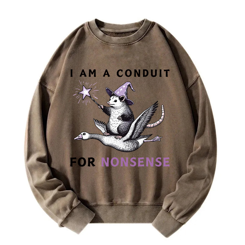 Opossum Riding Flying Goose Washed Sweatshirt