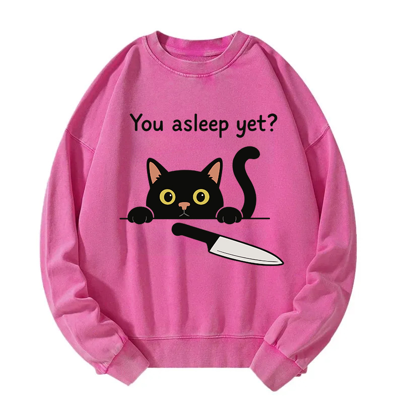 Cat With Murderous Intent Washed Sweatshirt