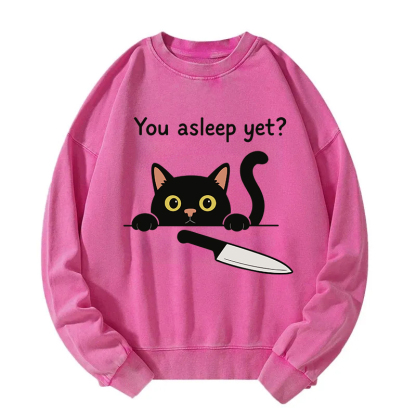 Cat With Murderous Intent Washed Sweatshirt