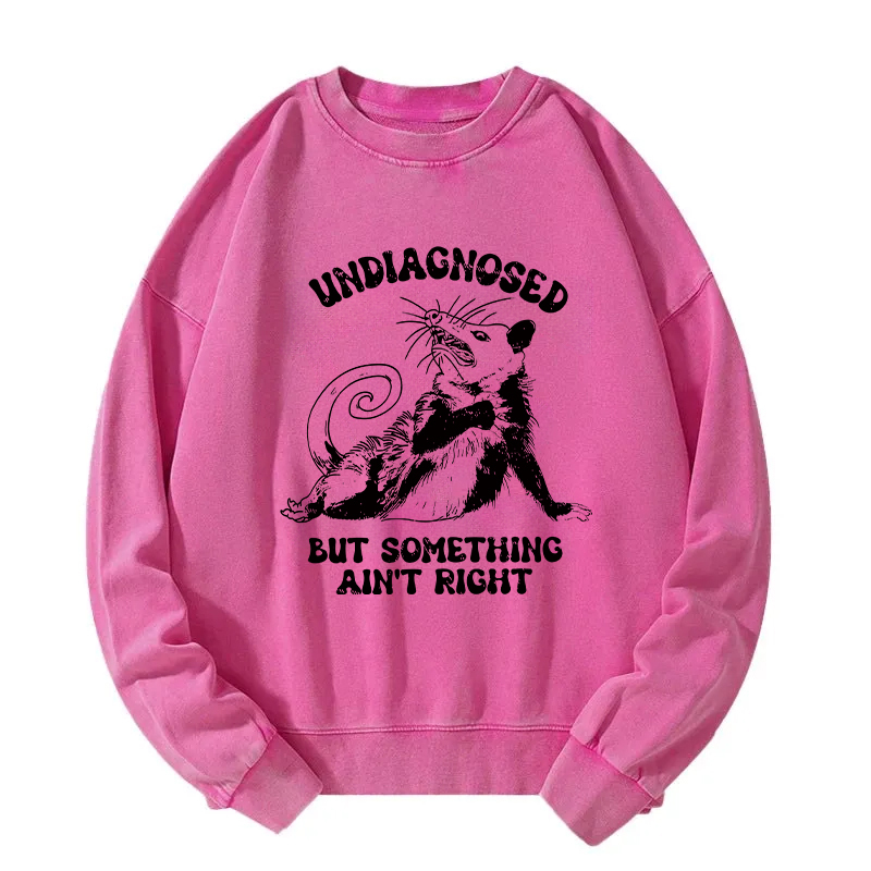 Undiagnosed Mental Health Opossum Washed Sweatshirt