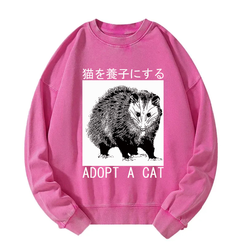 Adopt a Cat Japanese Opossum Washed Sweatshirt