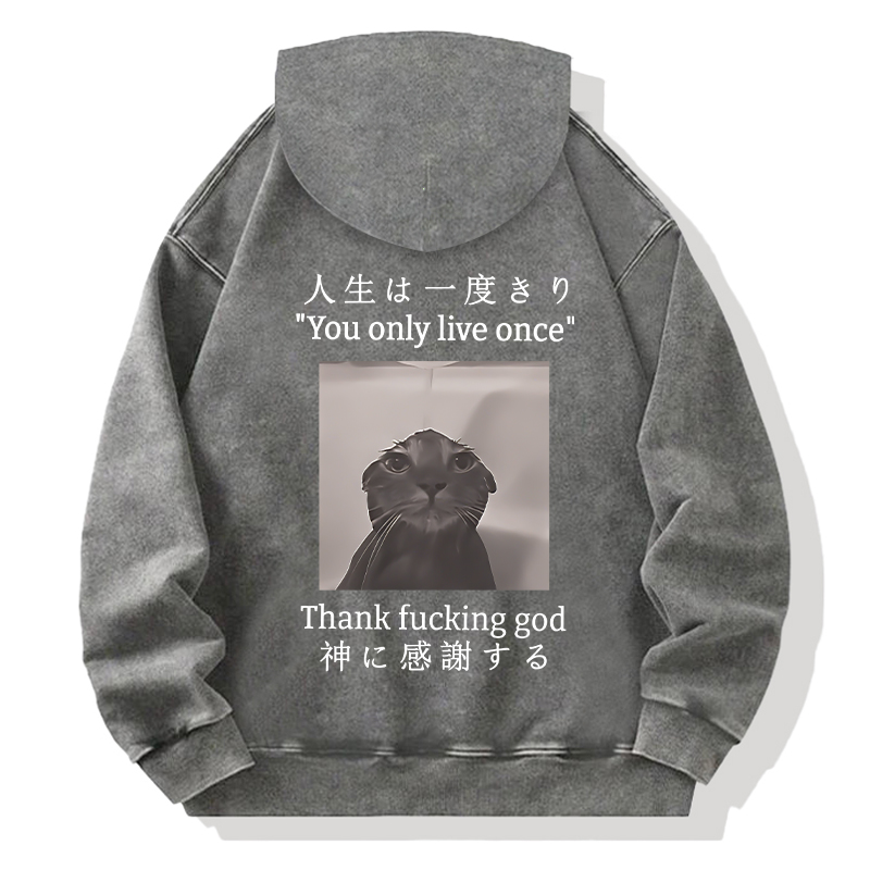 Funny Melancholy Cat Back Washed Hoodie