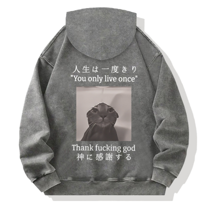 Funny Melancholy Cat Back Washed Hoodie