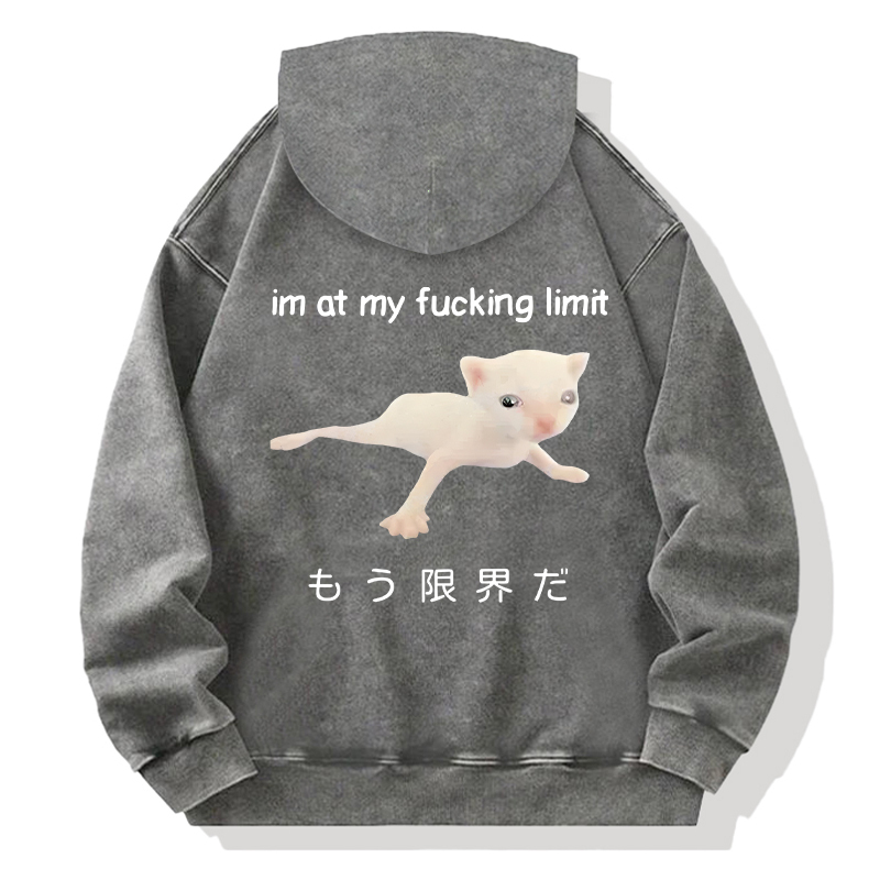 Cat Reaching Its Limit Back Washed Hoodie