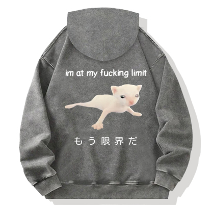 Cat Reaching Its Limit Back Washed Hoodie