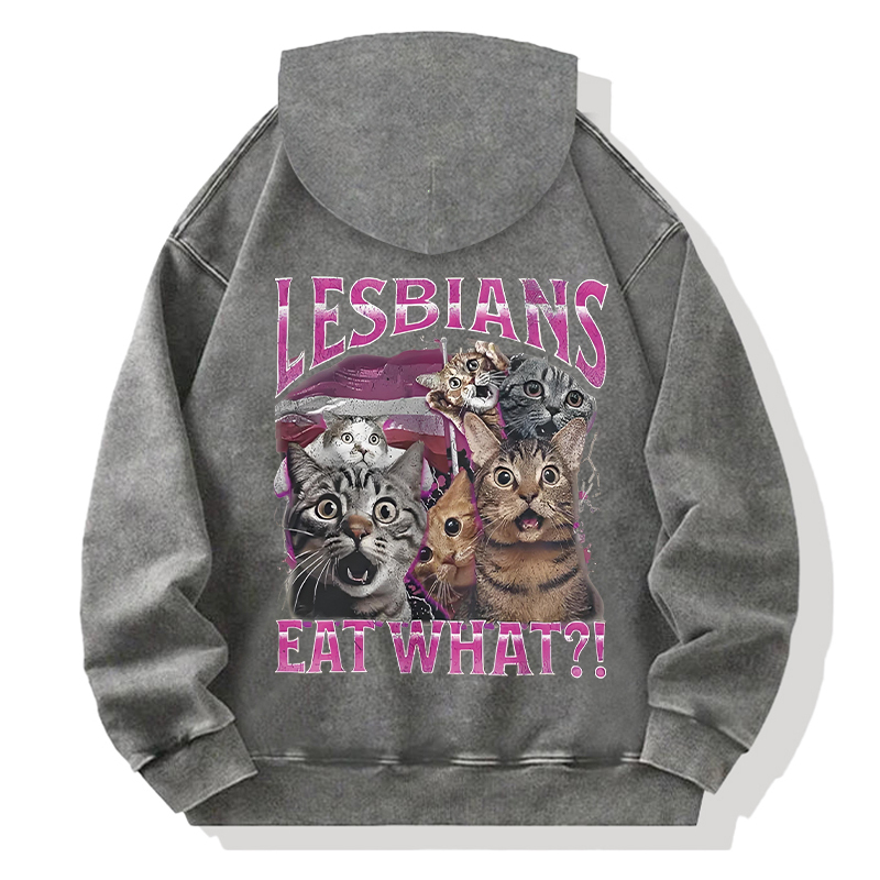 Lesbians Eat What?! Funny Back Washed Hoodie