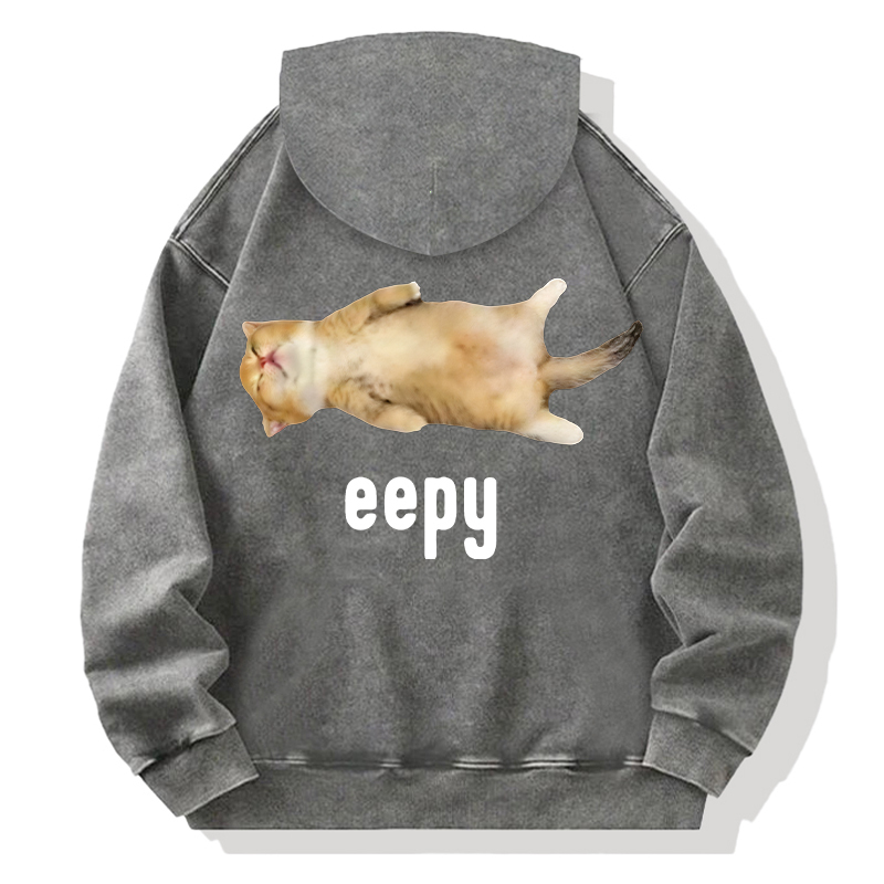 Silly Sleepy Cat Meme Back Washed Hoodie