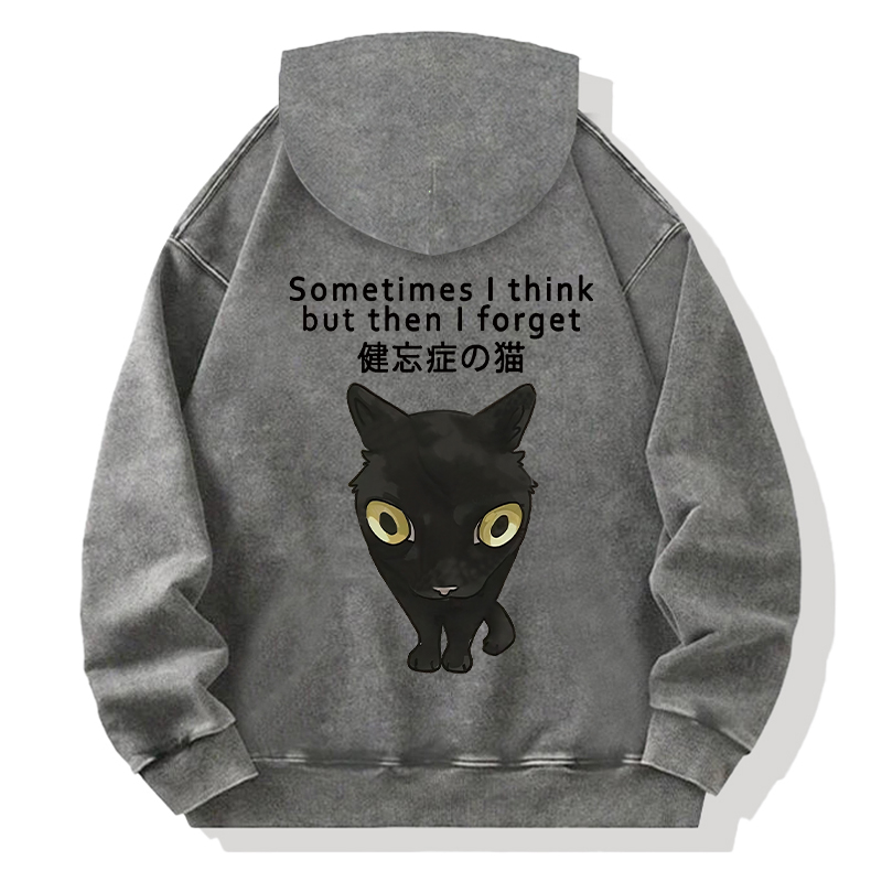 Amnesiac Cat Back Washed Hoodie