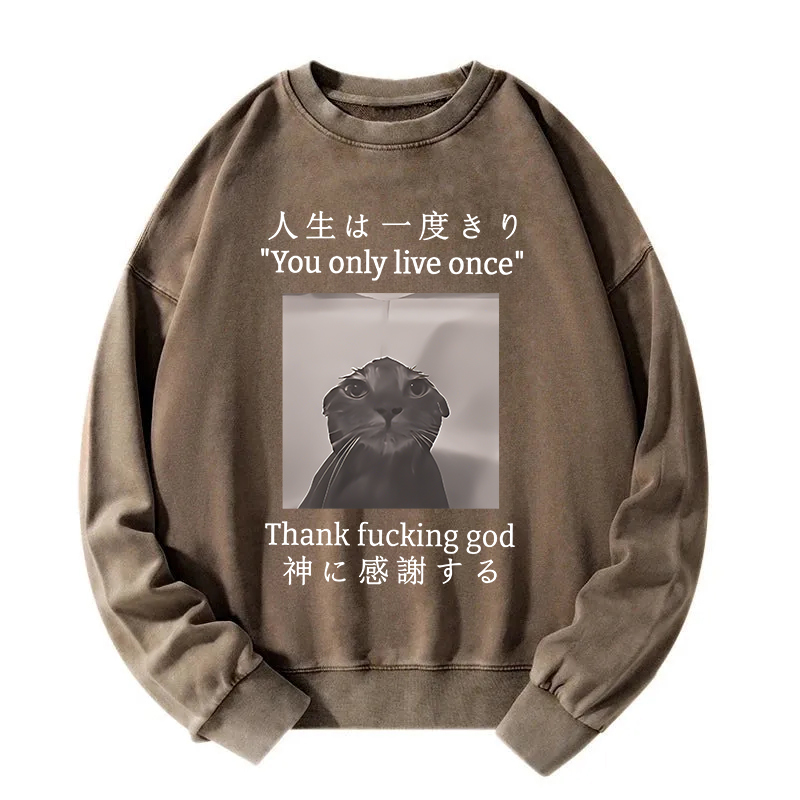 Funny Melancholy Cat Washed Sweatshirt