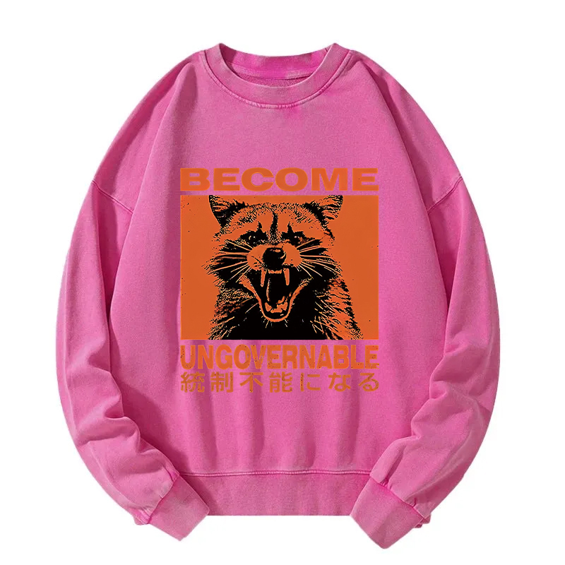 Ungovernable Raccoon Washed Sweatshirt