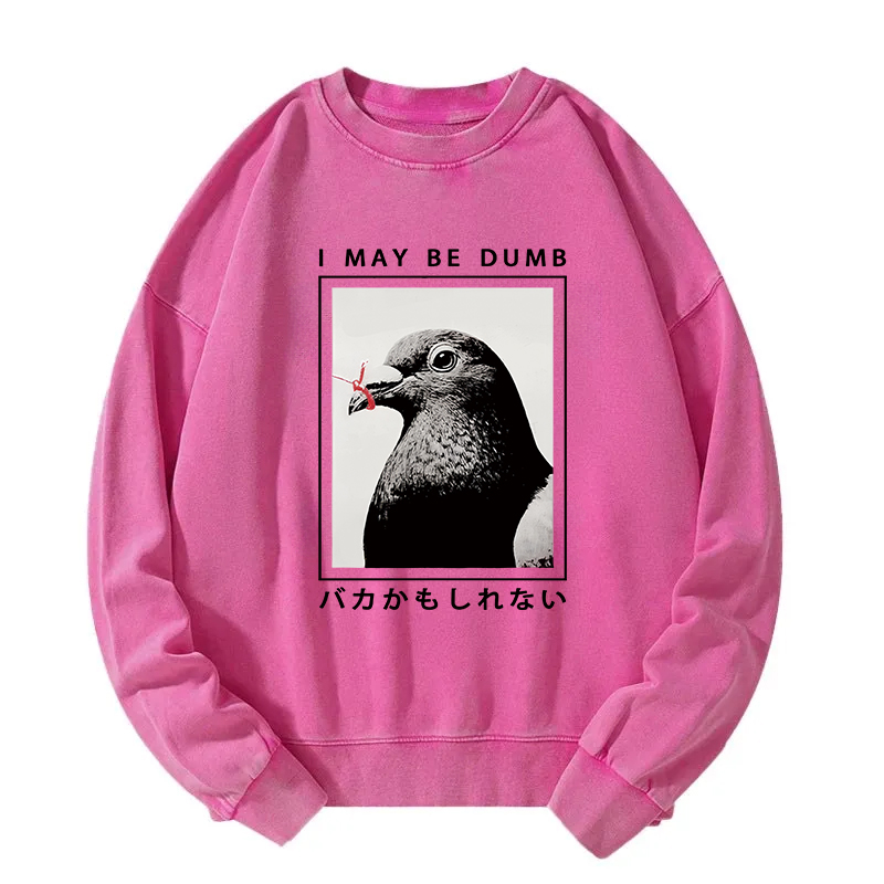 I May Be Dumb Funny Washed Sweatshirt