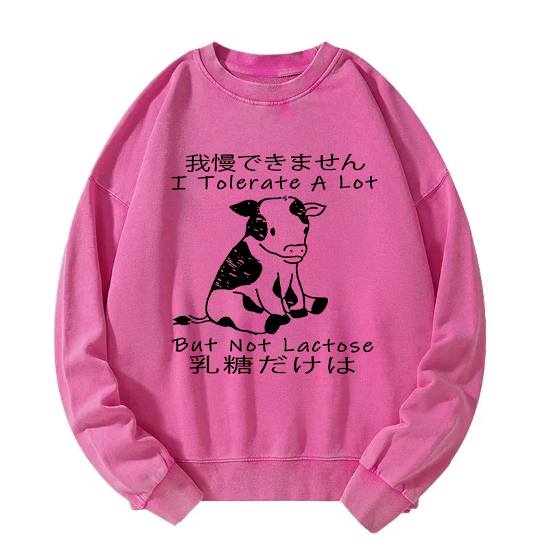 I Can't Tolerate Lactose Washed Sweatshirt