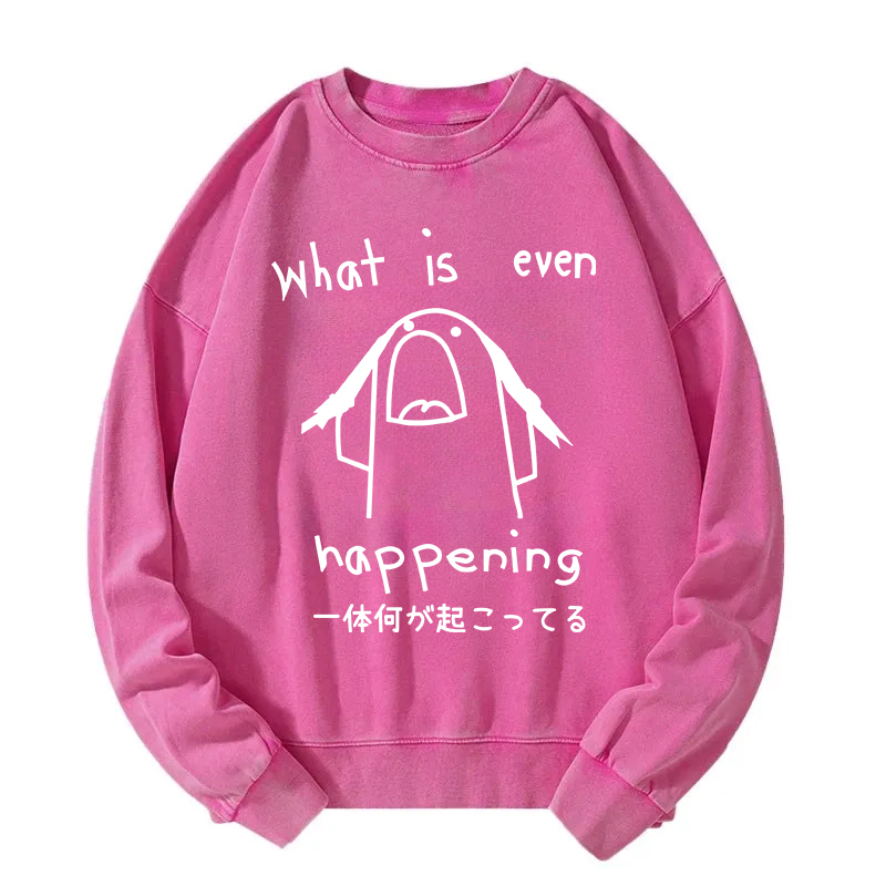 What Is Even Happening Washed Sweatshirt