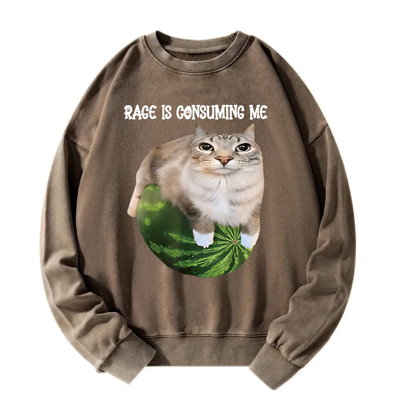 Rage Is Consuming Me Cat Meme Washed Sweatshirt