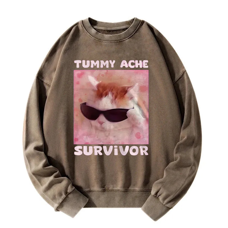 Tummy Ache Survivor Funny Cat Meme Washed Sweatshirt